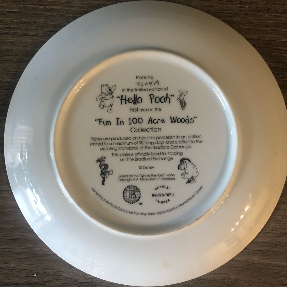 Winnie The Pooh “ Fun In 100 Acre Woods” Collection Plate